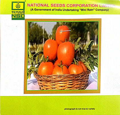 NSC Tomato variety-Kashi Aman, 5gm of TL seed