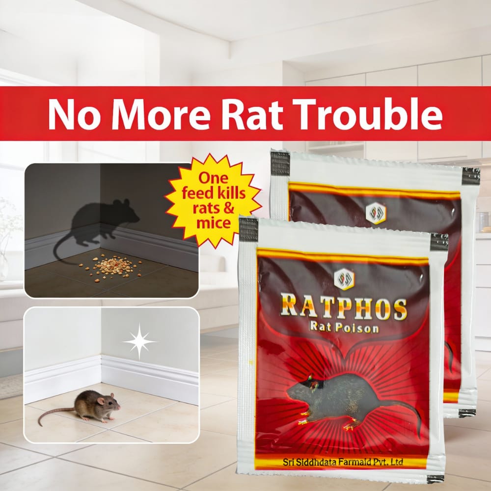 Rat Killer Powder Zinc Phosphide 80% Powerful Rat Powder | Rodenticide ...