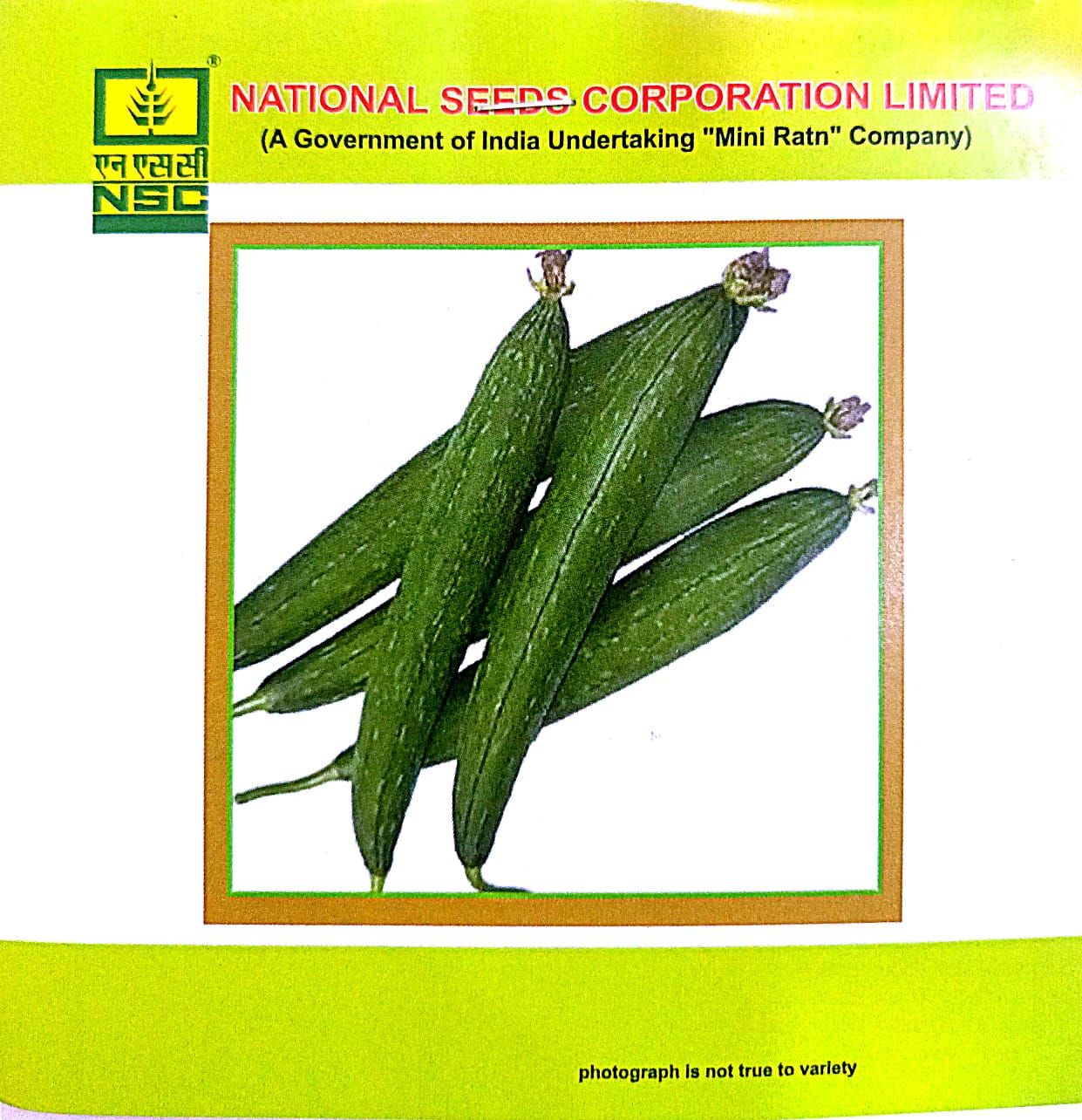 NSC Spoung Gourd Variety-Kashi Jyoti, 5gm of TL seed