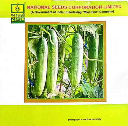 NSC Bittergourd Variety-Kashi Pratishtha, 5gm of TL seed