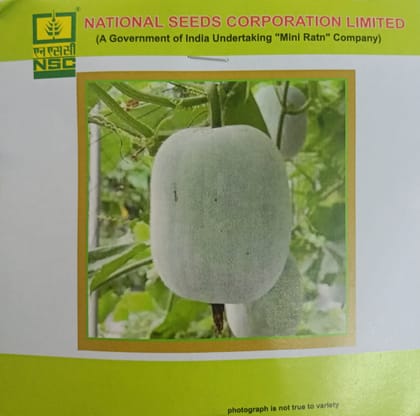 NSC Ash gourd variety-Kashi Dhawal, 5gm of TL Seed