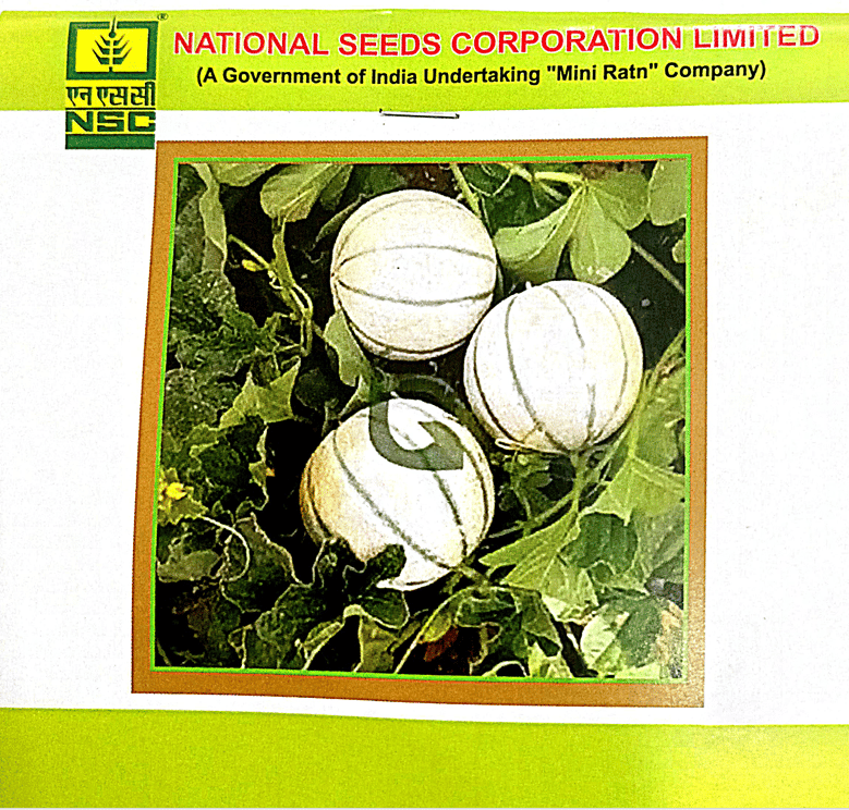 NSC Musk melon Variety-Kashi Madhu, 5gm of TL seed