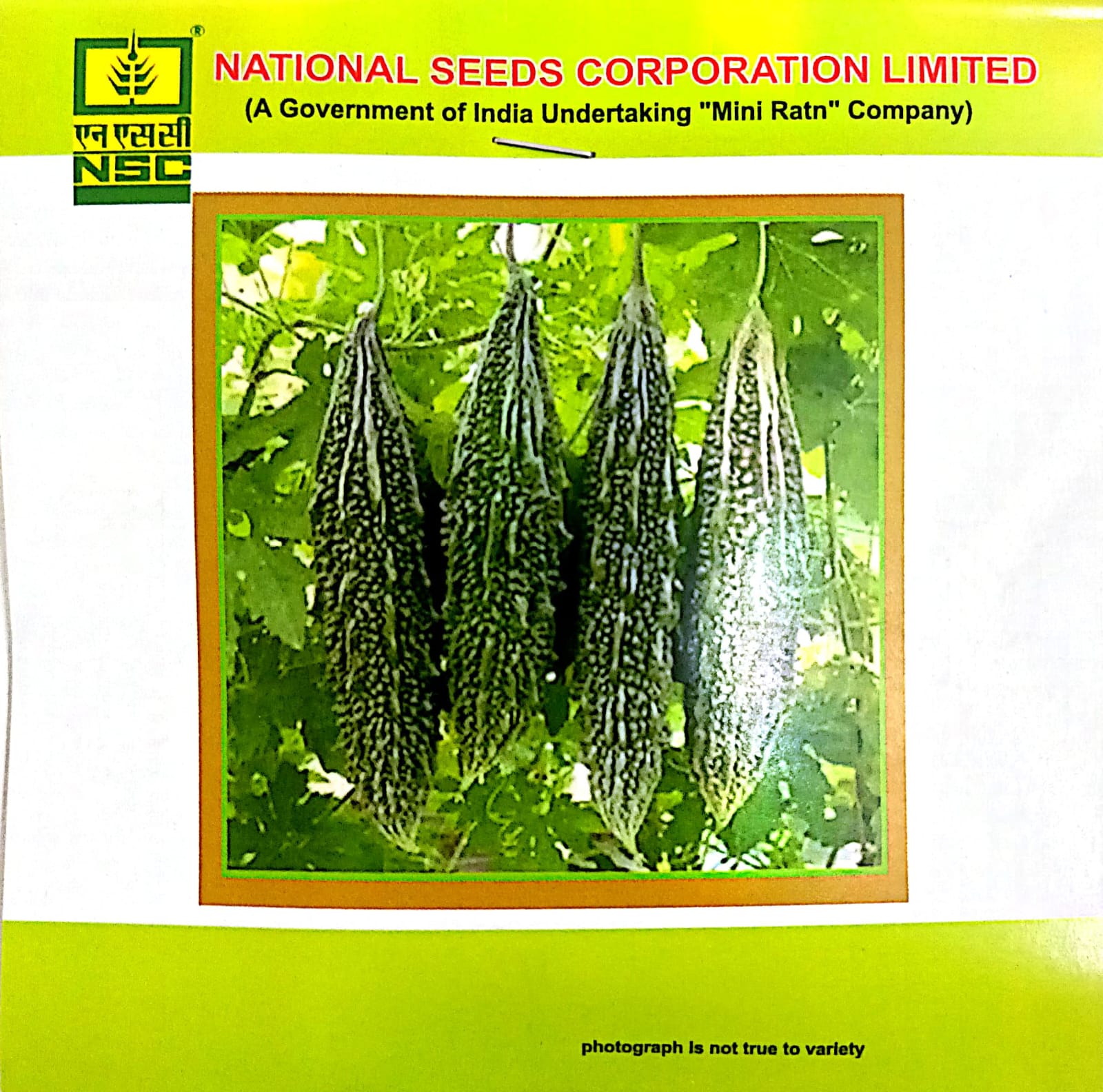 NSC Bittergourd variety-Kashi Pratishtha, 5gm of TL seed