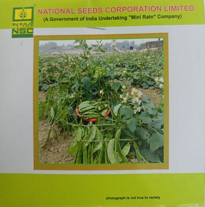 NSC Sem, Variety-Kashi Bauni-207, 20gm of TL seeds NSC Sem, Variety-Kashi Bauni-207, 20gm of TL seeds