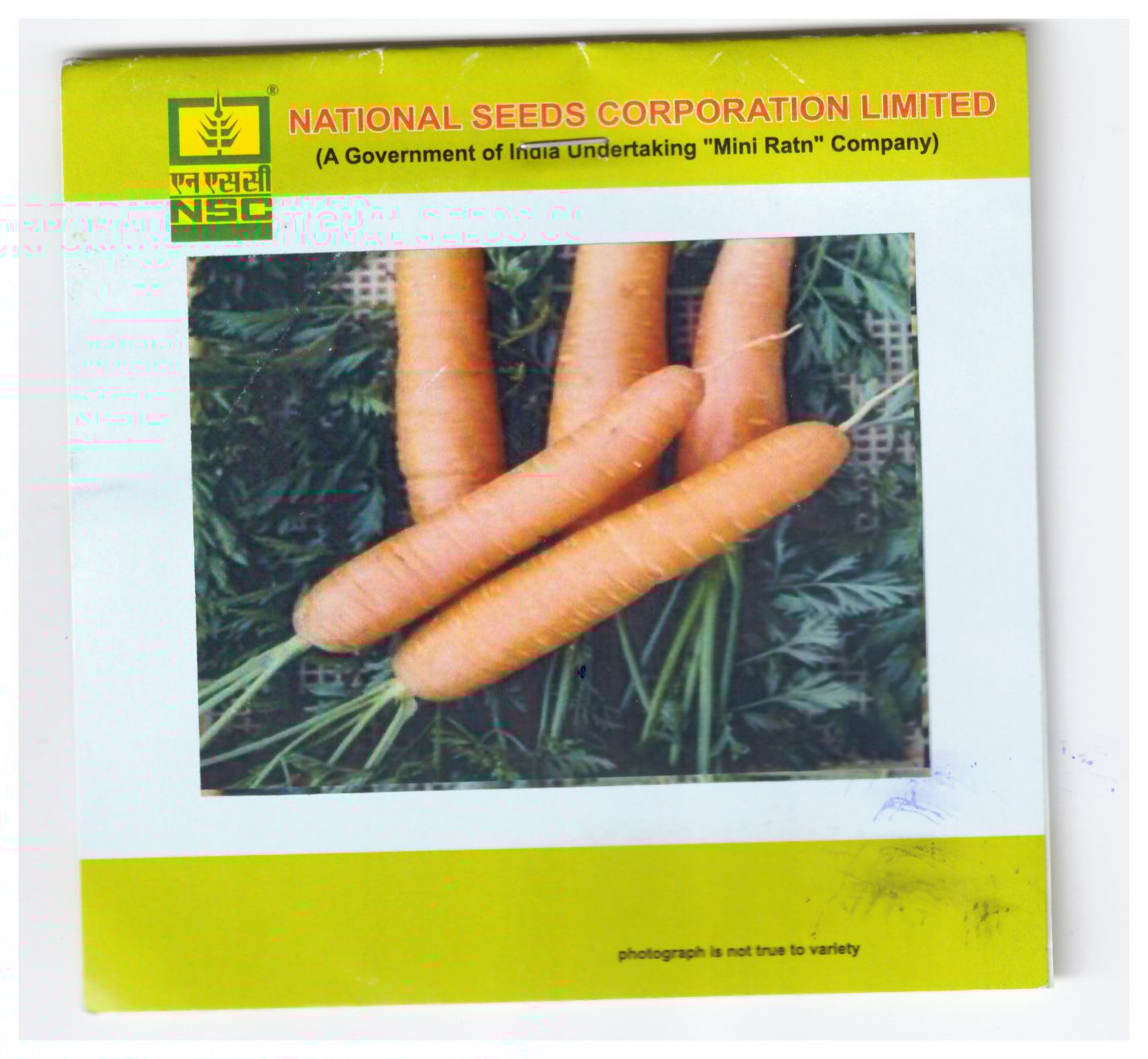 NSC Carrot Nantese T/L