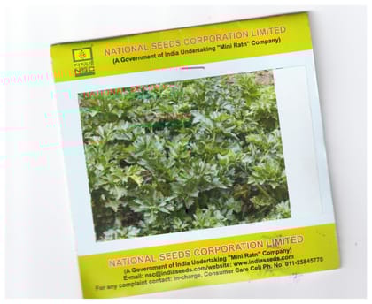 NSC Celery Hook Emperor