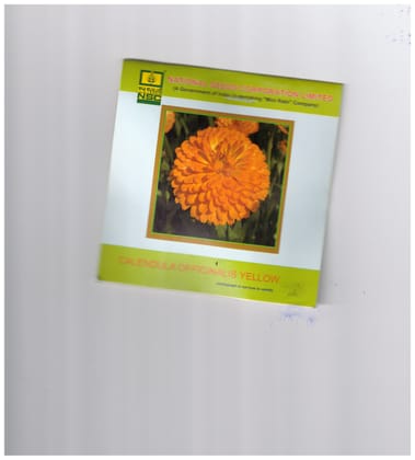 NSC Calendula officinalis Orange Gitana