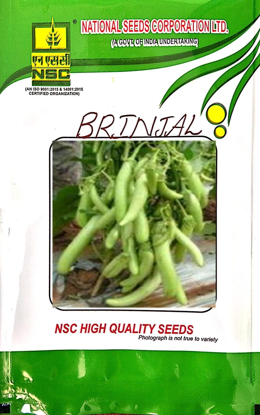 NSC-BRINJAL/ARKA HARSHITHA-10 GMS SEEDS