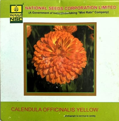 NSC Calendula Officinalis Orange Gitana Flower Seed (1 Gm Seed)