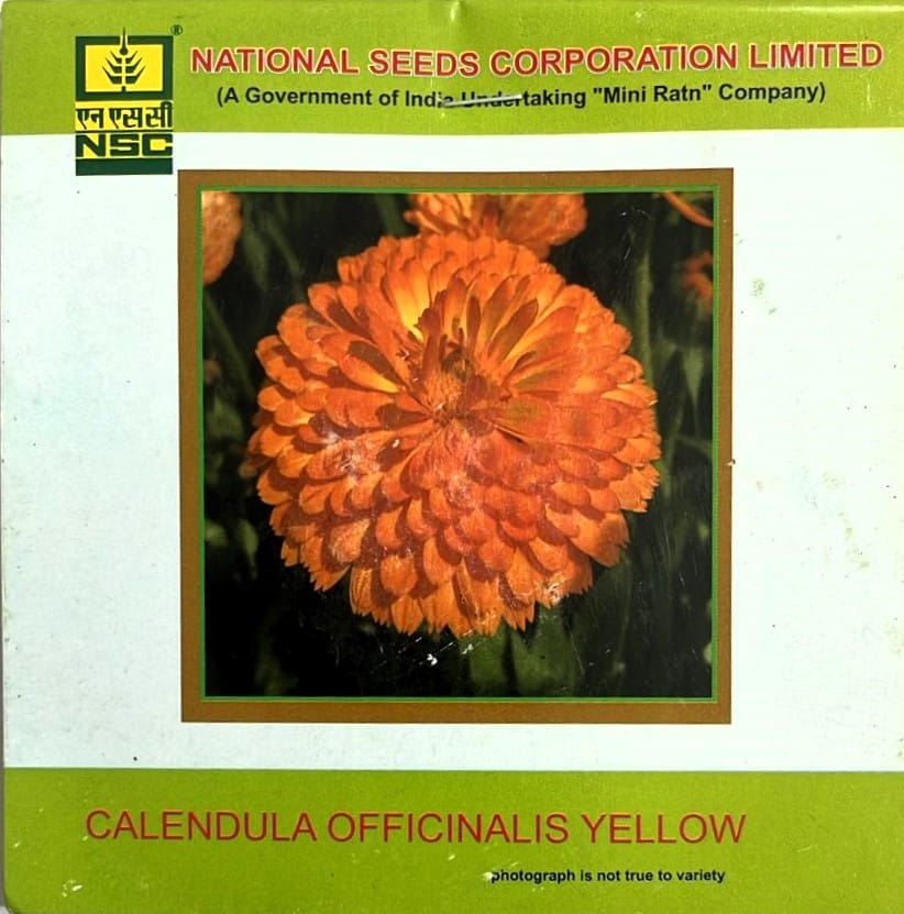 NSC Calendula Officinalis Orange Gitana Flower Seed (1 Gm Seed)