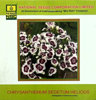 NSC Chrysanthemum Segetum Helious Flower Seed (1 Gm Seed)