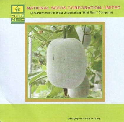 NSC Vegetable Seed- ASH GOURD- Kashi Dhawal-TL-5 gm