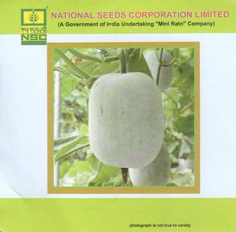 NSC Vegetable Seed- ASH GOURD- Kashi Dhawal-TL-5 gm