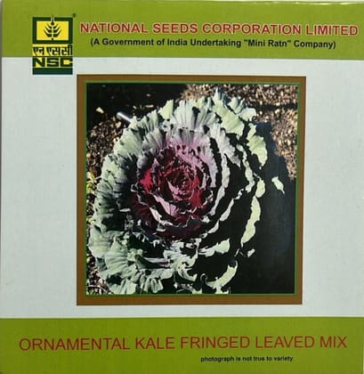 NSC Ornamental Kale Fringed Leaved Mix Flower Seed (1 Gm Seed)