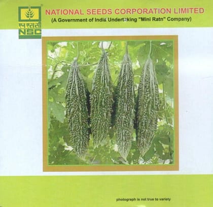 NSC Vegetables Seed- BITTER GOURD- KASHI PRATISHTHA-TL-5gm