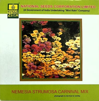 NSC Nemesia Strumosa Carnival Mix Flower Seed (1 Gm Seed)