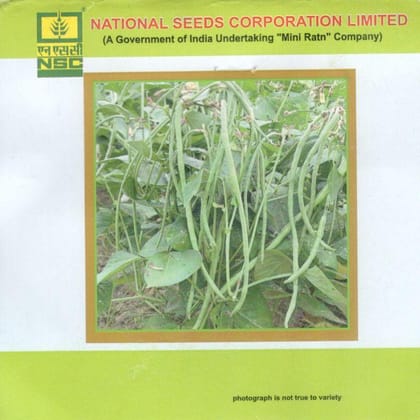 NSC Vegetable Seed- COWPEA-KASHI NIDHI- TL-20 gm