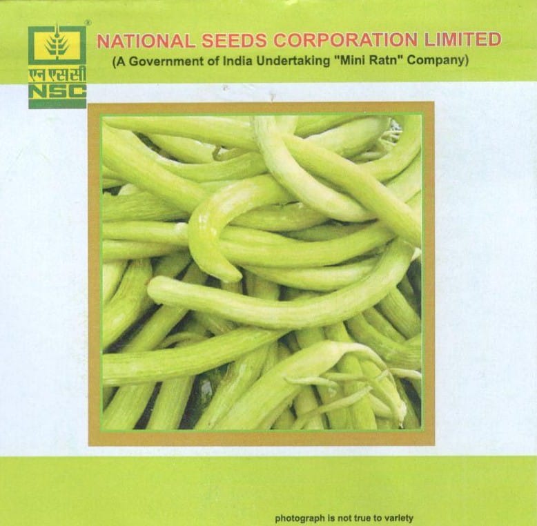 NSC Vegetable Seed- LONG MELON-SANTUSTI- TL- 5gm