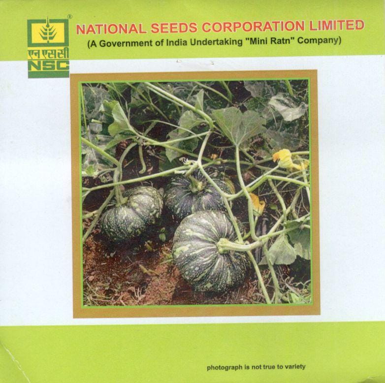 NSC Vegetable Seed- PUMPKIN-KASHI HARIT-TL-5gm