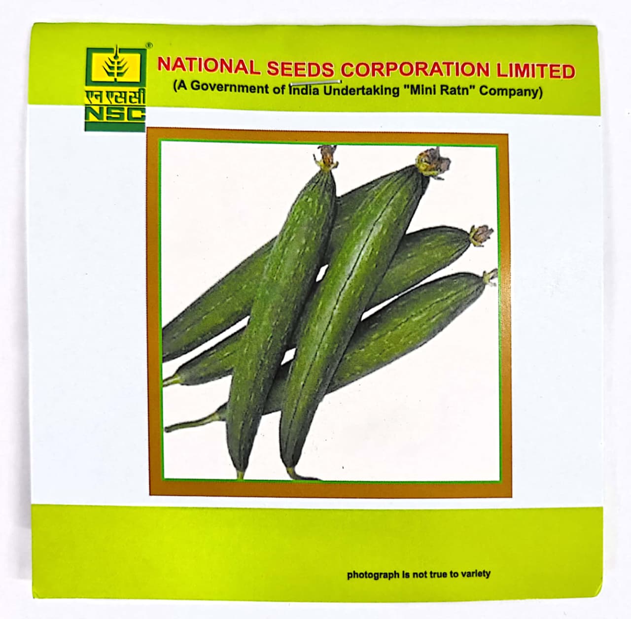 NSC - SPONGE GOURD VARIETY KASHI JYOTI HIGH QUALITY SEEDS - 5 GMS POUCH