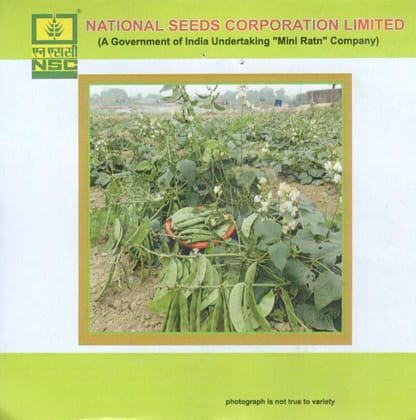 NSC Vegetable Seed- SEM-KASHI BAUNI 207-TL-20gm