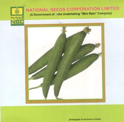 NSC Vegetable Seed- SPONGE GOURD-KASHI JYOTI-TL_5gm