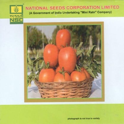 NSC Vegetable Seed- TOMATO-KASHI AMAN-TL-5gm