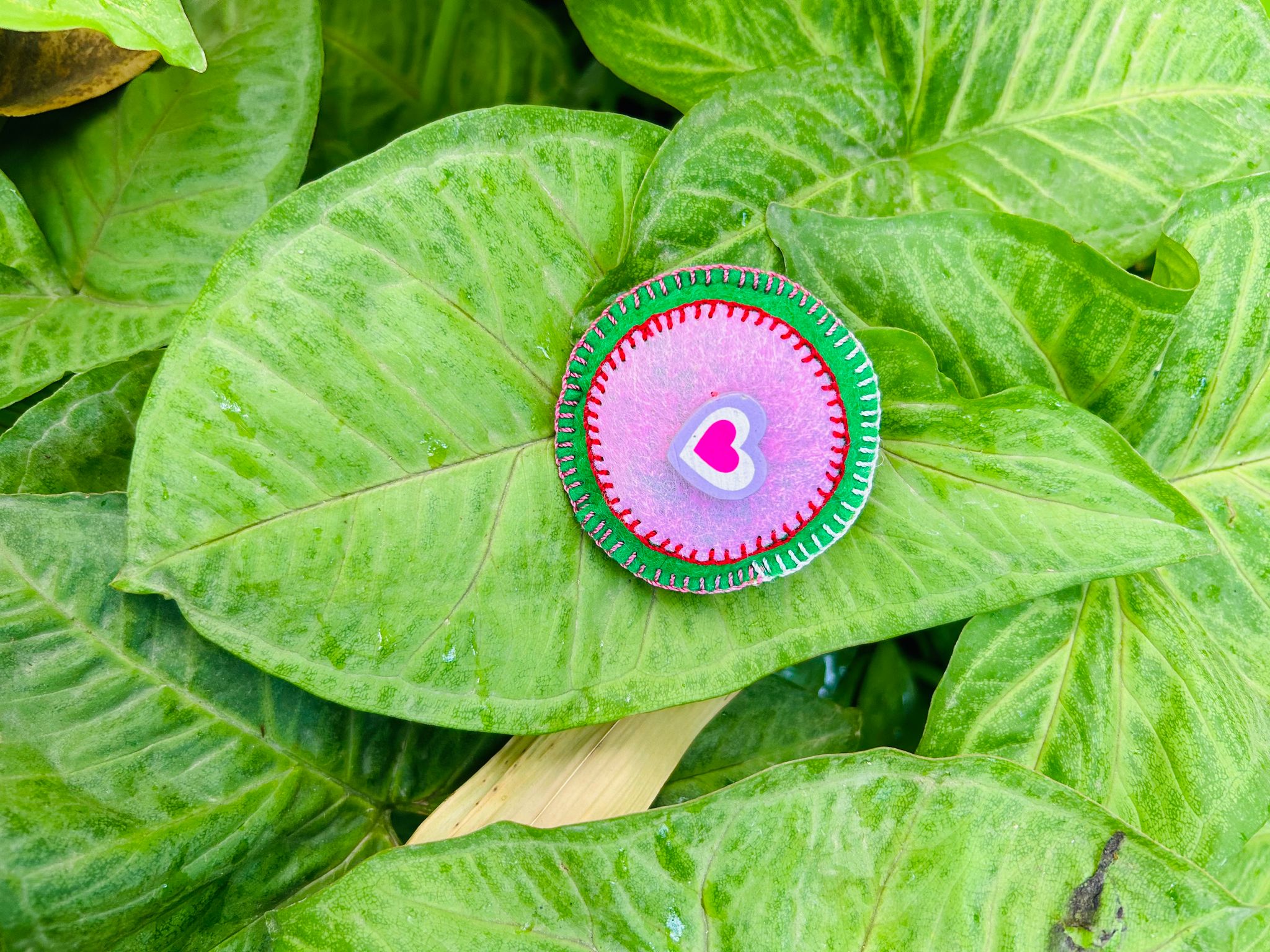 Happy Paws Club - Pink Green 