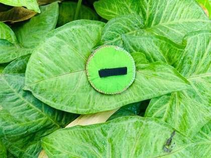 Happy Paws Club - Pink Green 