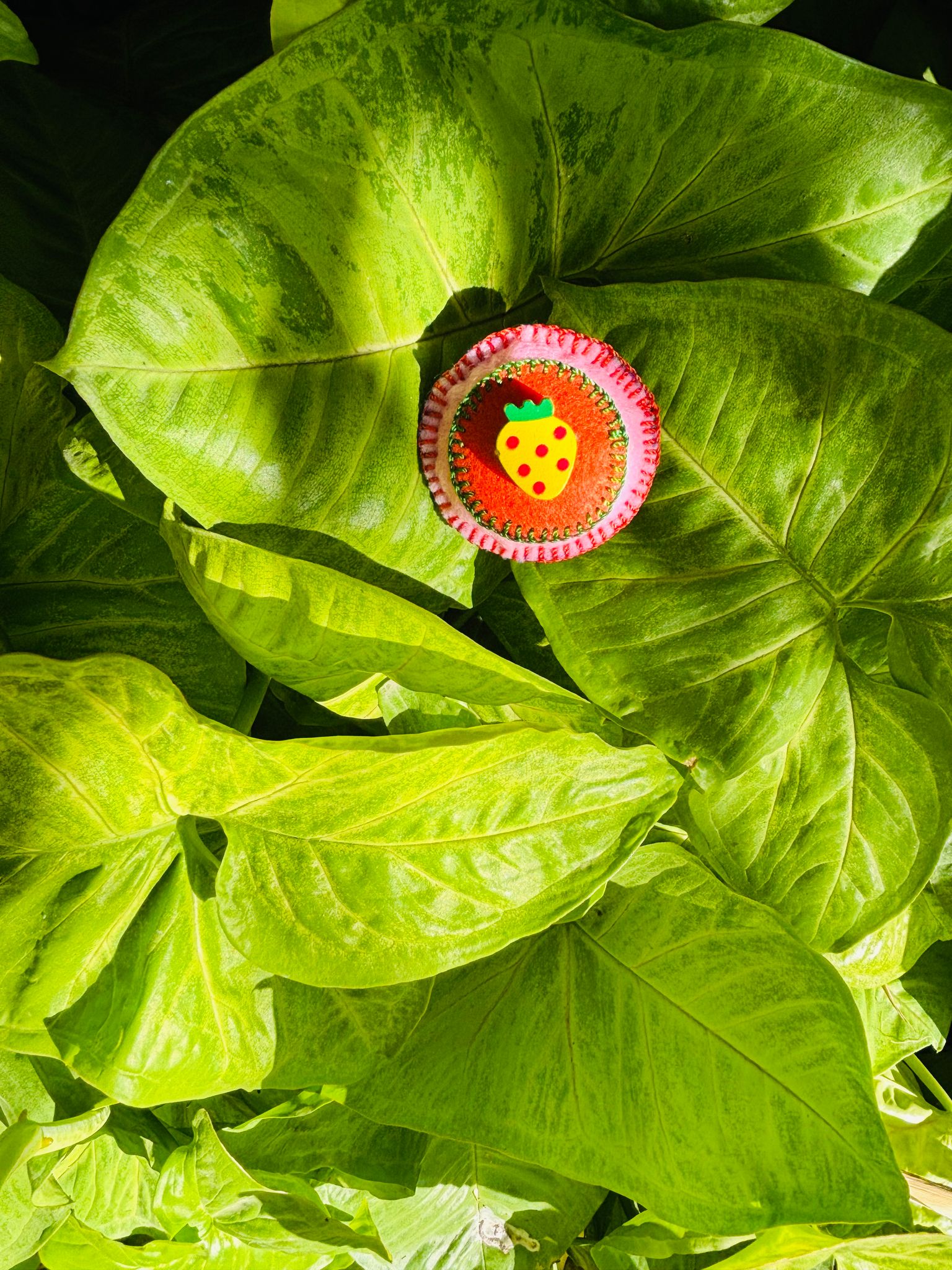 Happy Paws Club - Orange and Pink