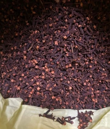 BHAKSHU Premium Laung (Cloves) 100gm– Fresh, Aromatic & Natural Whole Cloves