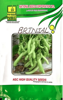 NSC-Brinjal/Arka Avinash - 10GMS Seeds