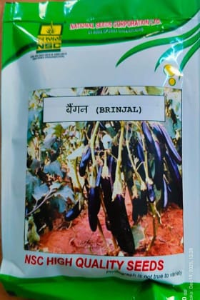 NSC-Brijal Arka Keshav-50 GMS Seeda