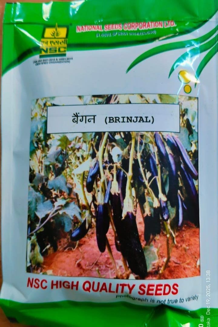 NSC-Brijal Arka Keshav-50 GMS Seeda