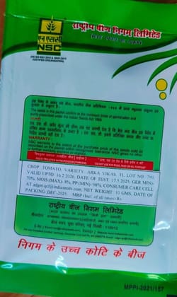 NSC-TOMATO/ARKA VIKAS-10GMS SEEDS