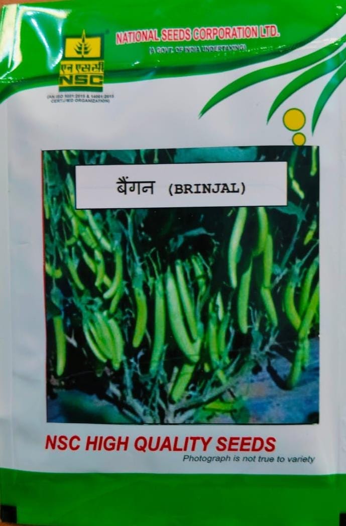NSC-Brinjal / Arka Harshitha - 10 GMS Seeds