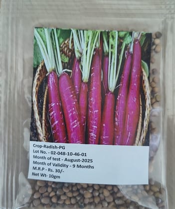 NSC Radish Pusa Gulabi, 10gm 