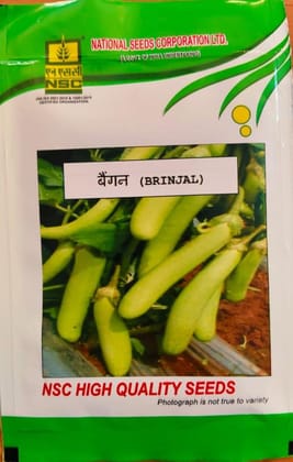 NSC-Brinjal / Arka Avinash - 10GMS Seeds