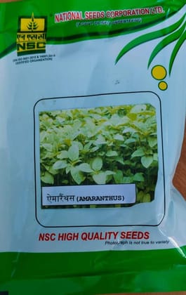 NSC-Amaranthus - Arka Varna - 100 GMS Seeds