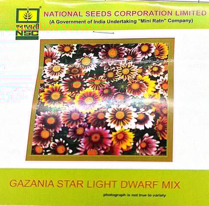 NSC Gazania Star Light Dwarf Mix Flower Seed
