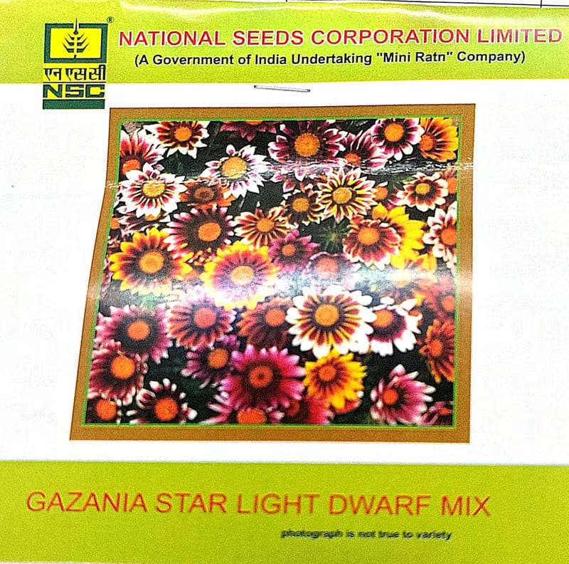 NSC Gazania Star Light Dwarf Mix Flower Seed