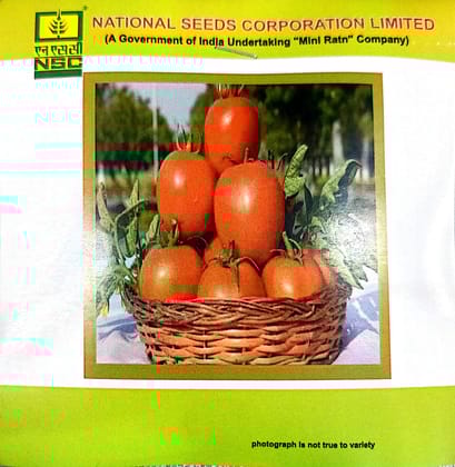 NSC- Tomato Variety Kashi Aman High Quality Seeds-5 GMS Pouch
