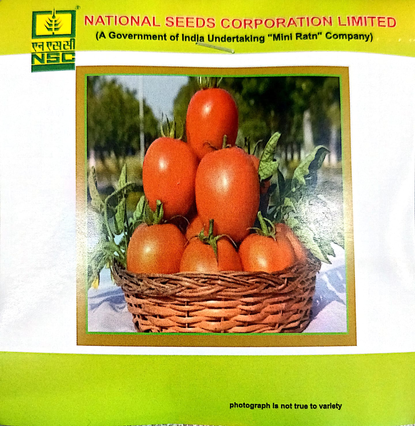 NSC- Tomato Variety Kashi Aman High Quality Seeds-5 GMS Pouch