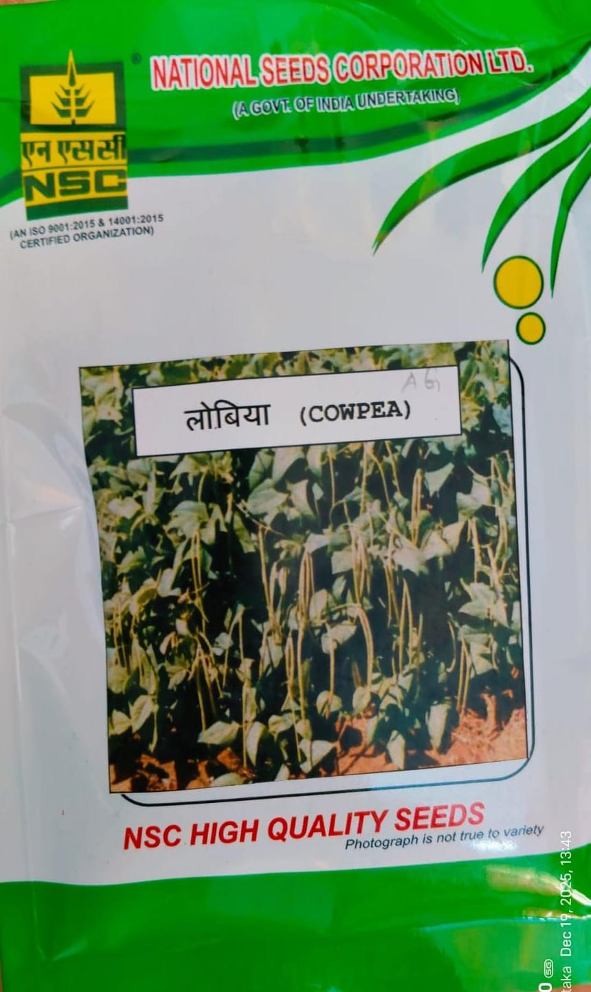 NSC-Cowpea /  Arka Garima -50 GMS Seeds