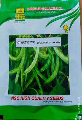 NSC-DOLICHOS BEAN(POLE TYPE)-ARKA PRASIDHI-10GMS SEEDS