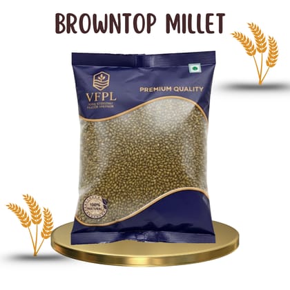 VFPL | Premium Browntop Millet (500 gm) | 100% Natural & Unpolished | Gluten-Free, High Fiber & Protein-Rich Superfood | Ideal for Healthy Meals