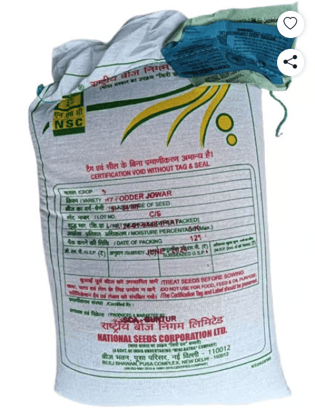 NSC FODDER SORGHUM HYBRID MULTICUT CSH-24 MF