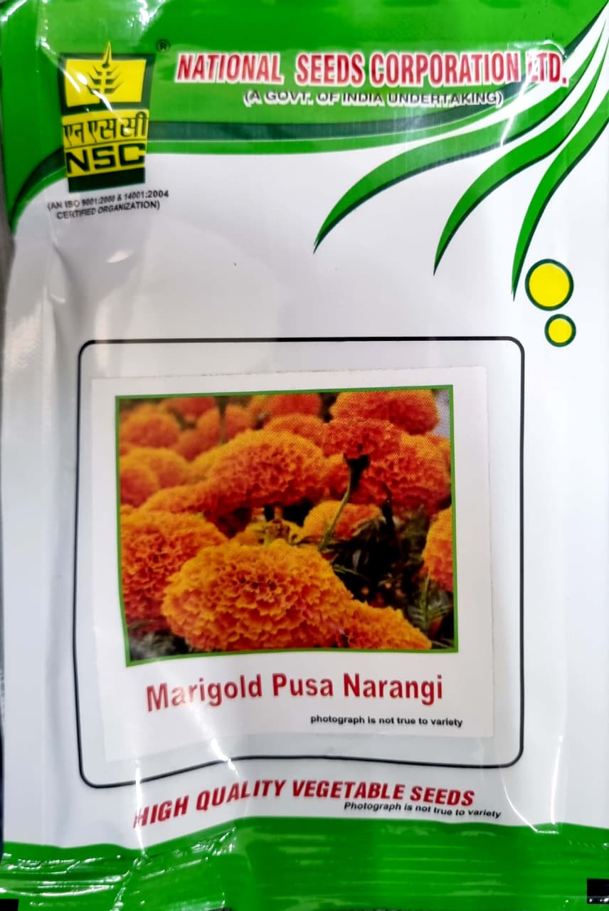 NSC - Marigold ( Gainda) Seeds - Pusa Narangi Variety | High - Quality T/L Seeds | 10 GMS Pouch
