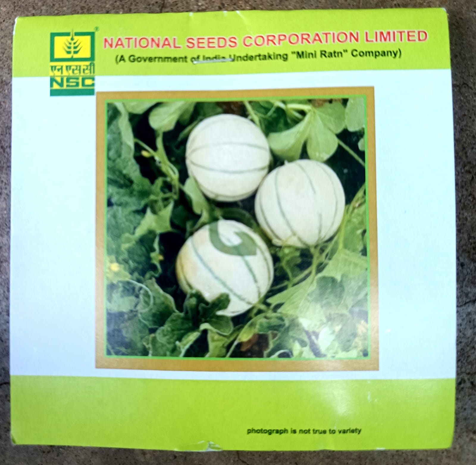 Musk Melon Variety - Kashi Madhu