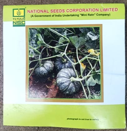 Pumpkin Variety - Kashi Harit